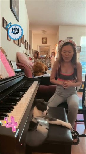 Fun piano chaos while learning country names 🎹 #cat #kucing #cute #buffalocat