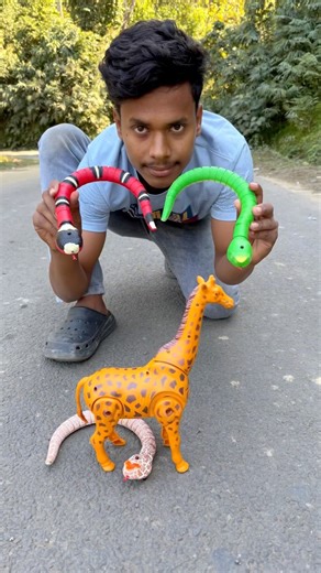 3 Ta Rc Snake And Remote Wala Spider Unboxing Deko 😱