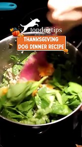 11 reactions | 旅 Give thanks… and treats!  This homemade Thanksgiving dinner for dogs is packed with all the cozy flavors of the holiday—turkey, veggies, and love. 凌✨ Because your pup deserves a seat at the Thanksgiving table too! ️  Watch now + grab the full recipe here: https://topdogtips.com/homemade-thanksgiving-dinner-for-dogs/ #ThanksgivingForDogs #HomemadeDogFood #TurkeyDinnerForDogs | Top Dog Tips | Facebook