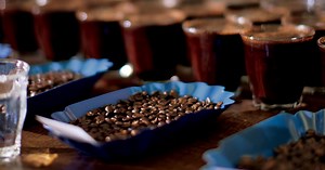 How To Taste Coffee Like A Pro