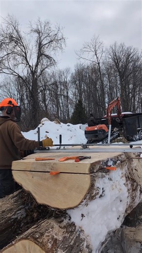 milling huge log with Alaskan chainsaw mill