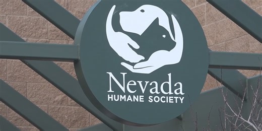 Preparing for kitten season: Foster Funfair at the Nevada Humane Society