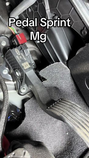 Tony_Enigma_Mr.Tablet su TikTok