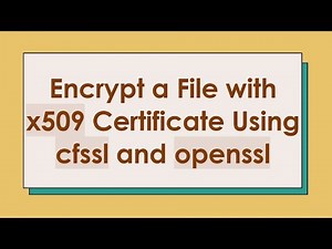 Encrypt a File with x509 Certificate Using cfssl and openssl