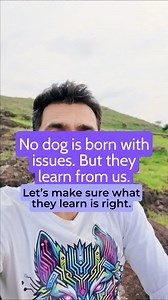 95 reactions · 35 comments | No dog is born with issues. But they...