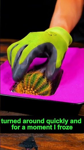 Dark Night – A Mysterious & Thrilling Story ll Moral stories