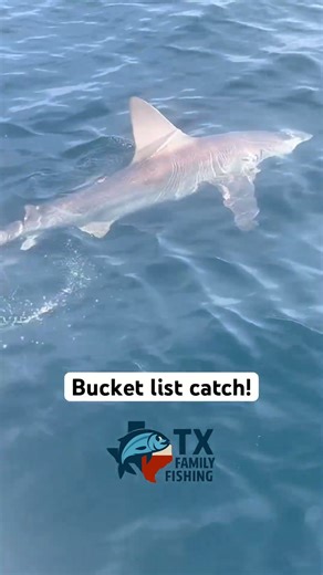 We hooked a shark offshore in Destin, Florida!