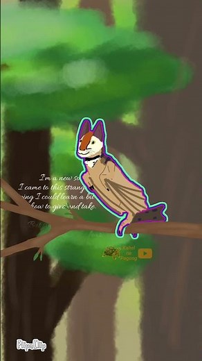 Observer does the meowl meme (Serina: World of Bird's)