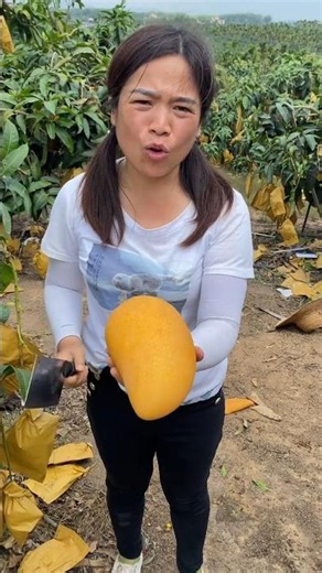 Poor Mango Seller 🥭😭 | how to grow orange trees #shorts​ #factsfetch #shortsfeed​ #viralshort
