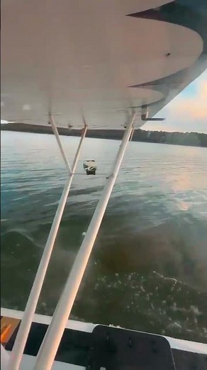 2002 PIPER SUPER CUB For Sale