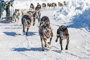 Backyard Yellowknife Winter Adventures on the Ice and Snow