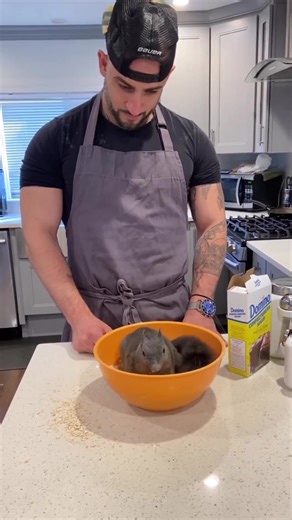 1.4M views · 163K reactions | The nut house adventures!  #fyp #fypp #fpy #viral #video #fun #funny #breakfast #love #insta #instagram #instago #instagood #instadaily #tiktok #pet #pets #animal #animals #smile #best #friend #follow #us | A Squirrel Named Peanut | Facebook