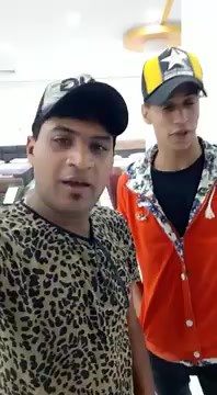 Understanding Sign Language Through Gestures