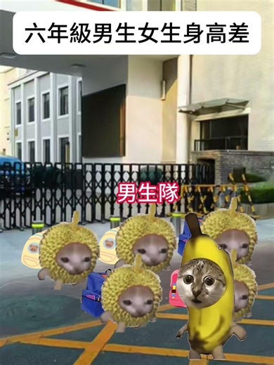 【😺CatDramaCorner】六年級男生女生身高差 #cat #貓meme小劇場 #00後 #shorts #shortvideo #funny cat videos