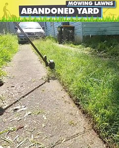 90K views · 1.6K reactions | Ultra Satisfying Tall Grass Cutting! | Blade Mate Lawn Care | Facebook