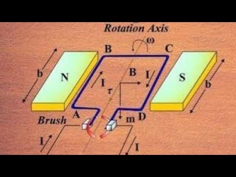 Torque on a Rectangular Current Loop