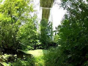 Ocklawaha River Under The Hwy 316 Bridge in Eureka