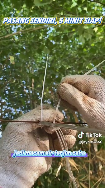 Explore the Magic of Solar Lamps