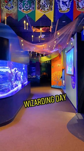 Wizarding Day at the aquarium!! Which house are you in? #mysticaquarium #harrypotter #fyp