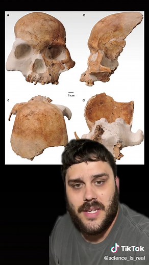 Red Deer Cave People DNA #sciencetok #evolution #learnontiktok #ancient #history #hominin #paleontology #china