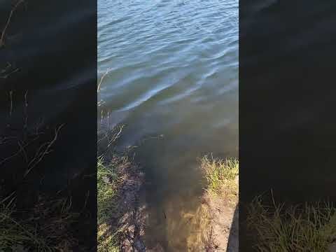 Singularity! Eternal Life! Exponential growth! Thanks to Your help! Miracles.