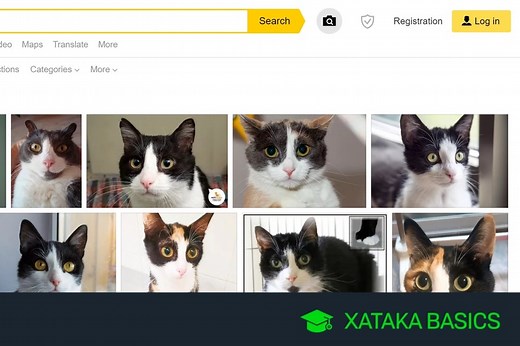 Cómo buscar imágenes iguales o parecidas a otra imagen