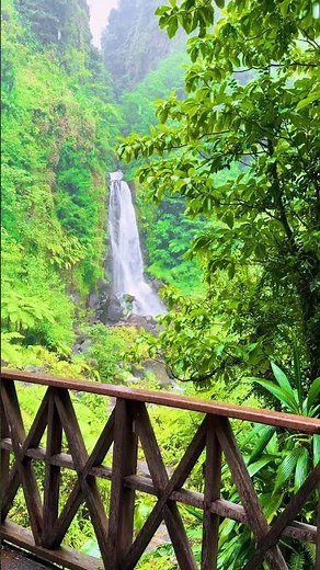 Dominica Rainforest & Waterfalls 🇩🇲 Hidden Caribbean Jungle You NEED to See