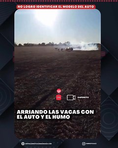 14K views · 56 reactions | Toda la tecnología aplicada al campo  Pero cuando lo necesitaban… siguió grabando  “¡Dejá de filmar” le gritan  Puro humo  #Campo #Tecnología #Viral #Argentina #PuroHumo | CNM Noticias | Facebook