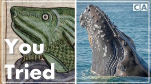 These Medieval Artists Had No Idea What Animals Looked Like