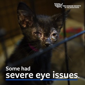 29K views · 2.5K reactions | BEHIND THE SCENES of our recent rescue...