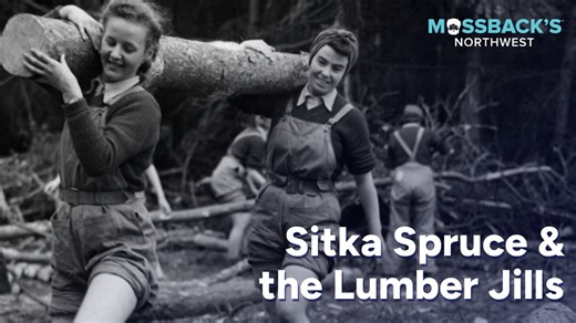 How did timber help fight two world wars? World War I transformed the Northwest timber industry to ensure the supply of Sitka spruce for building airplanes to fight the Red Baron. With men away at the front, women were tapped to work in the woods during both world wars - the so-called "Lumberjills." Not only did spruce help fight the Nazis, logging the trees made a major impact on labor in the woods. Watch more episodes of Mossback's Northwest on the Cascade PBS app. https://bit.ly/3UperPf | Cas