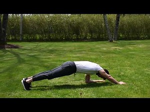 Single Arm Plank Reach: Instructional Video