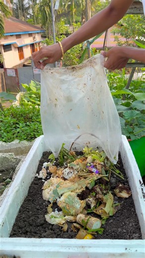 Making compost soil from kitchen waste for planting #gardening #compost #plants #farming