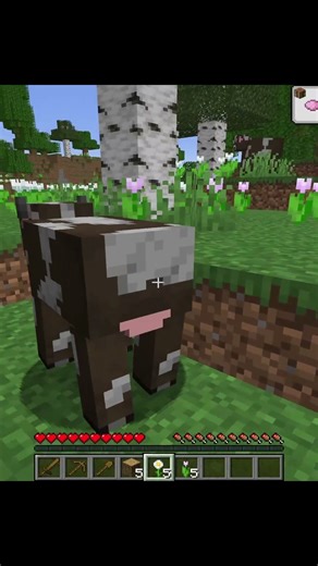 There are bees in minecraft?