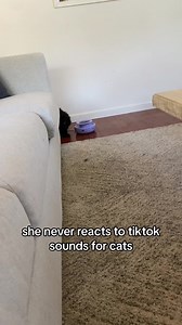 Urlebird · maybe eva