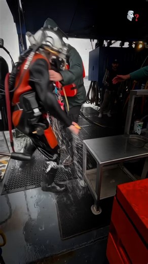 Expand_the_fact on Instagram: "Why Divers Rush to Remove Wetsuits? #reels #facts #amazingfacts #intrestingfacts #gk #viralfacts #randomfacts #tranding #dailyfacts #expandthefact"