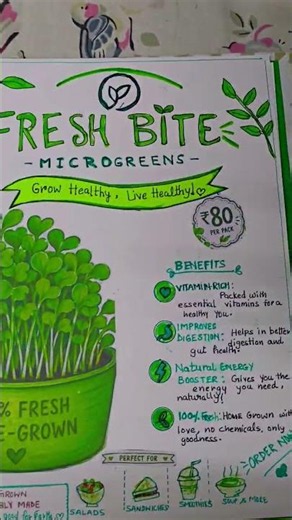 Microgreens Holiday Homework | Class 8 Koshal Bodh #trending