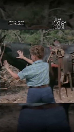 Alice vs. the mule… place your bets! #BradyBunch Now Streaming on Paramount+