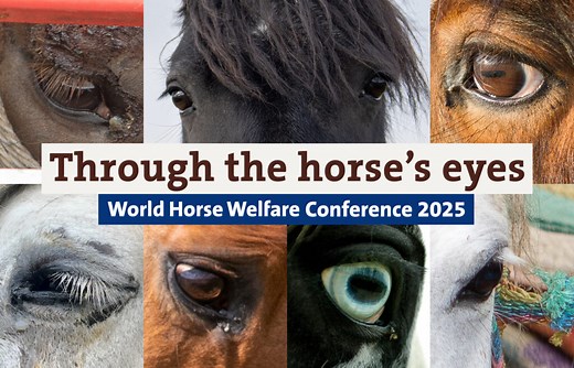 Our Conference - World Horse Welfare