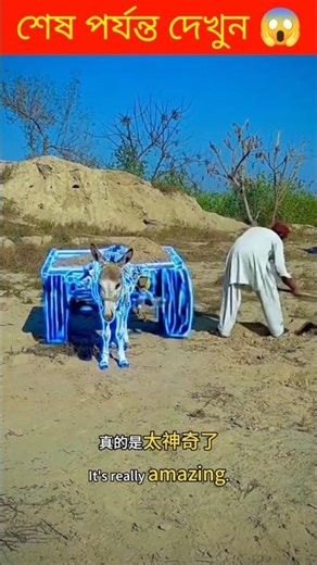 ভ্যান গাড়িটি বড় কারে পরিণত হলো 😂😂/The van turned into a big car#shorts #vairal