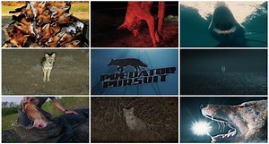 Predator Pursuit Season 6 Will Have Predator Hunters Begging For More