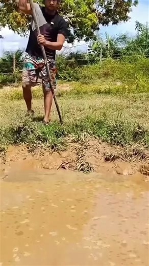 dalaran_s (@dalaran_s)’s videos with original sound - dalaran_s