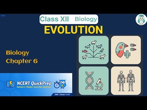 EVOLUTION | Class 12 Biology Chapter 6 | CBSE NCERT | Quick Revision in 7 Mins