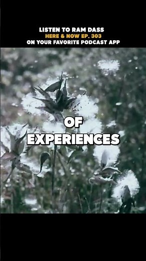 The Preciousness of Life #ramdass #birth #death #circleoflife #presence #lovingawareness