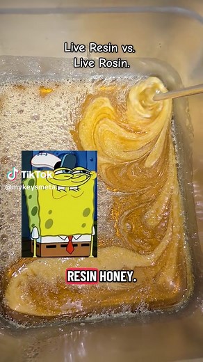 Extraction vs Pressure: Understanding Resin and Rosin