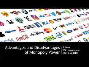 Advantages and Disadvantages of Monopoly Power I A Level and IB Economics