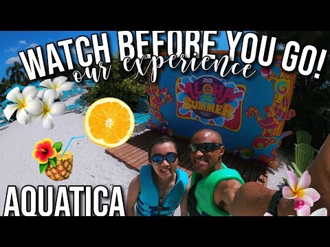 We Spent the Day at Aquatica Orlando — Was It Worth It?