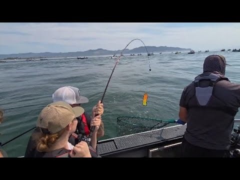 Okuma Guide Select Classic Rods Review and Test!