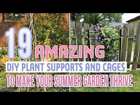 19 Amazing DIY Plant Supports and Cages To Make Your Summer Garden Thrive