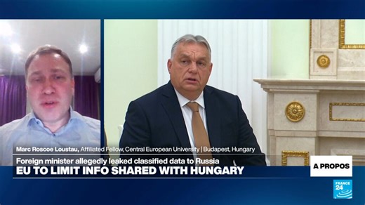 Hungary is 'the Kremlin's biggest agent in the EU', analyst says